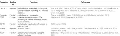 Receptors for Respiratory Syncytial Virus Infection and Host Factors Regulating the Life Cycle of Respiratory Syncytial Virus